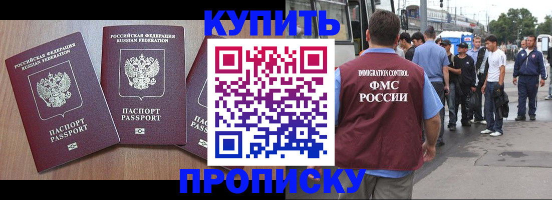 прописка 2025 в Кингисеппе